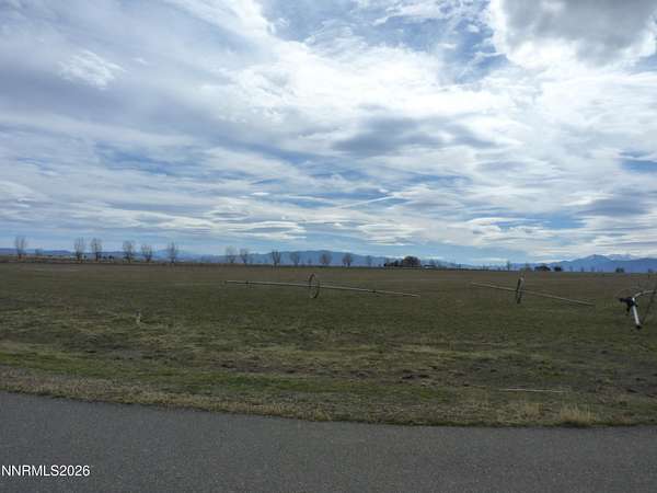 20 Acres of Land for Sale in Wellington, Nevada