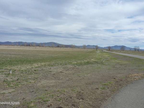 19.7 Acres of Land for Sale in Wellington, Nevada