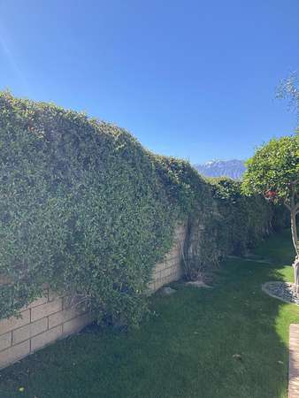 0.05 Acres of Land for Sale in Cathedral City, California