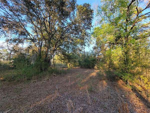 10 Acres of Agricultural Land for Sale in Williston, Florida