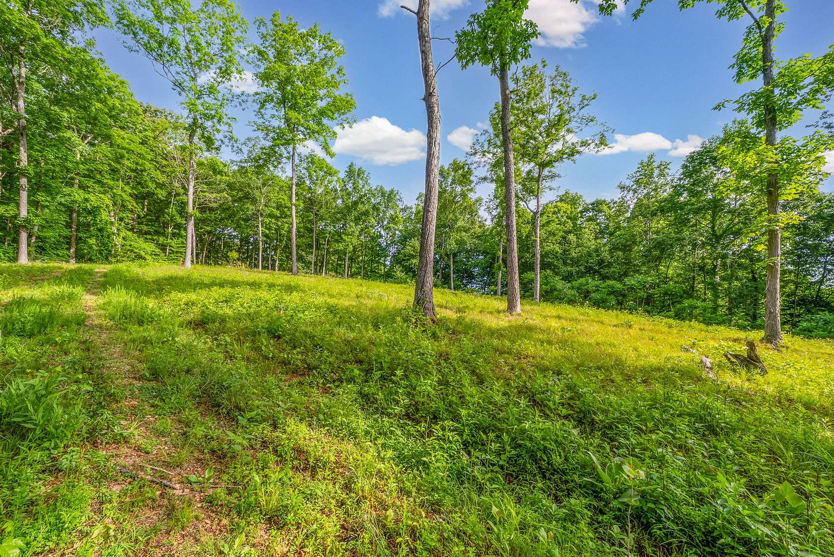 2.29 Acres of Residential Land for Sale in Dover, Tennessee