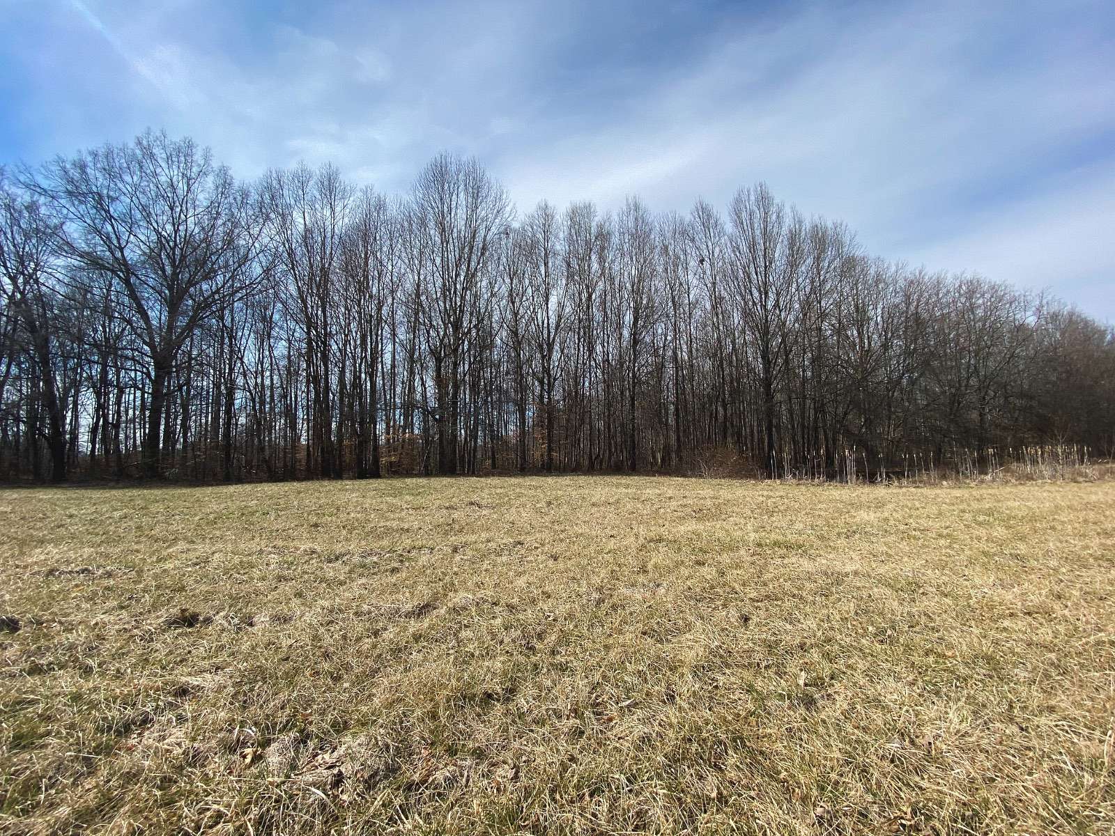 5.85 Acres of Residential Land for Sale in Russell Springs, Kentucky