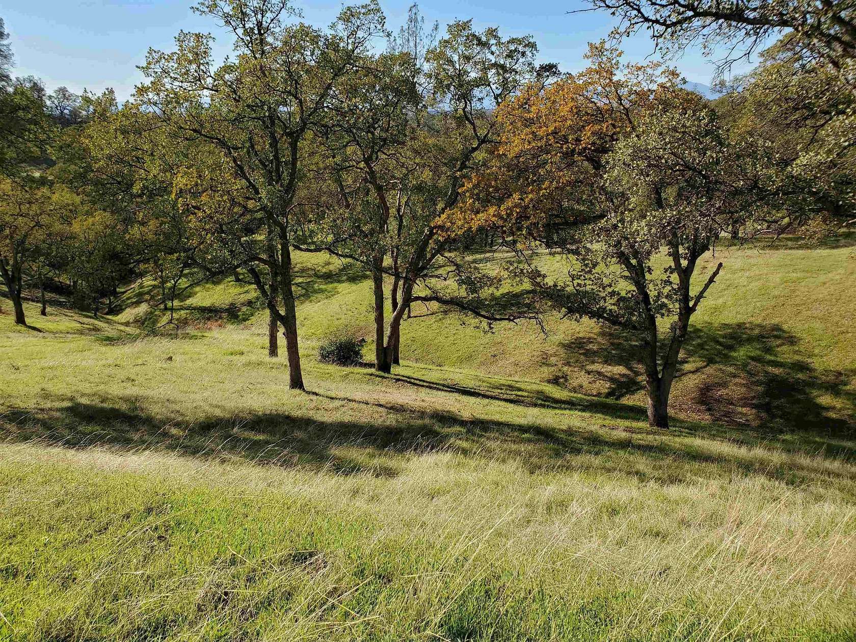 14.2 Acres of Land for Sale in Red Bluff, California