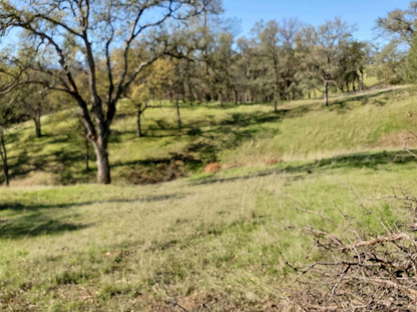 20.5 Acres of Land for Sale in Red Bluff, California