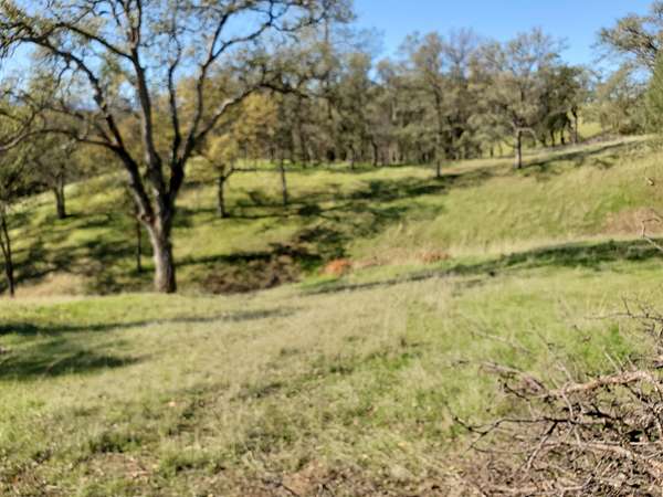 20.5 Acres of Land for Sale in Red Bluff, California