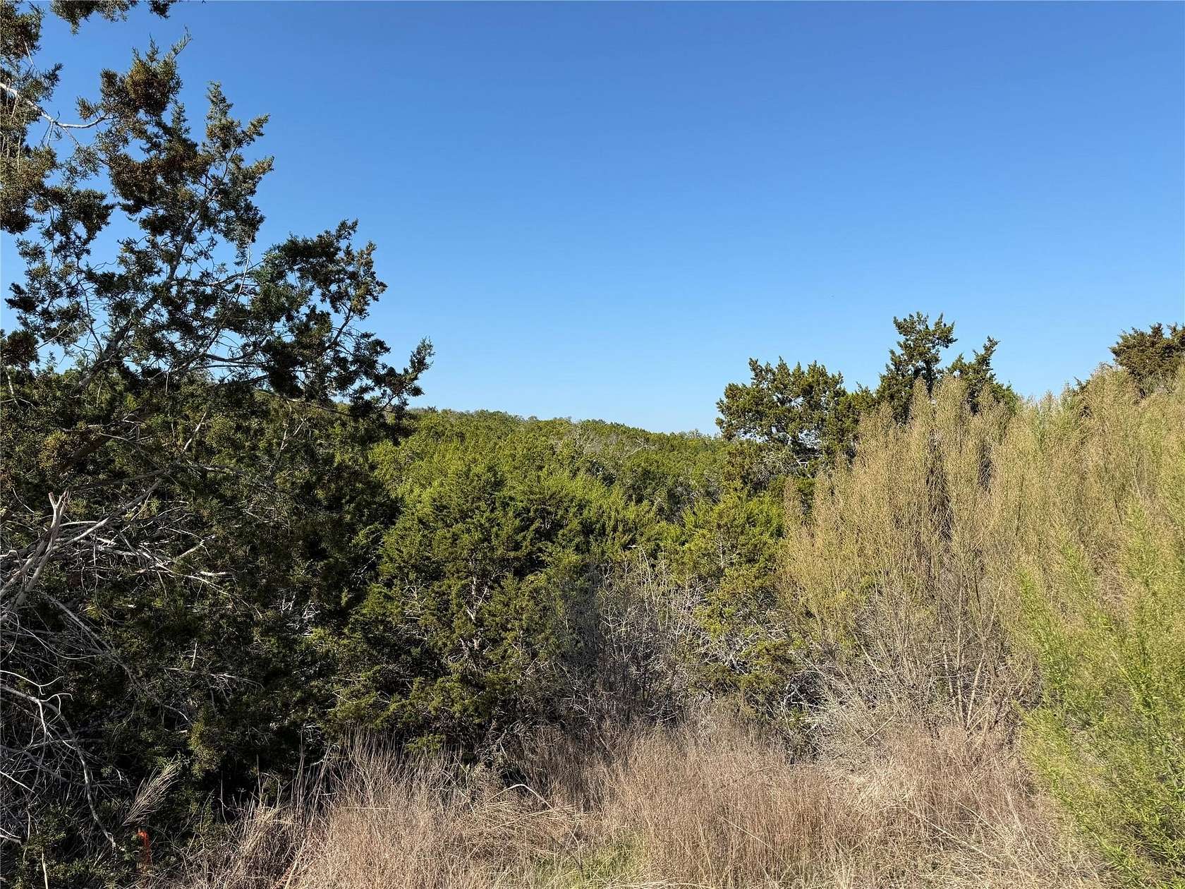 1 Acre of Residential Land for Sale in Fischer, Texas