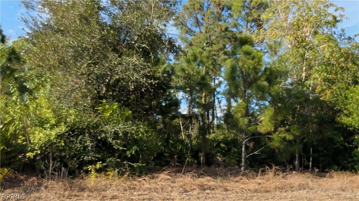 0.25 Acres of Land for Sale in Lehigh Acres, Florida