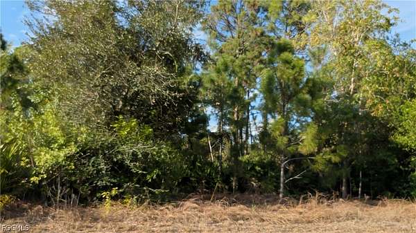 0.25 Acres of Land for Sale in Lehigh Acres, Florida