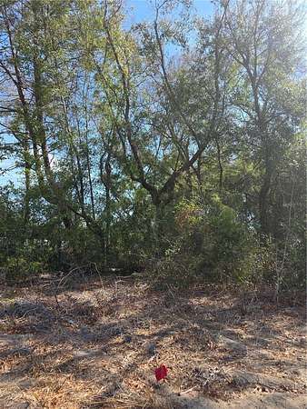 0.29 Acres of Residential Land for Sale in Summerfield, Florida