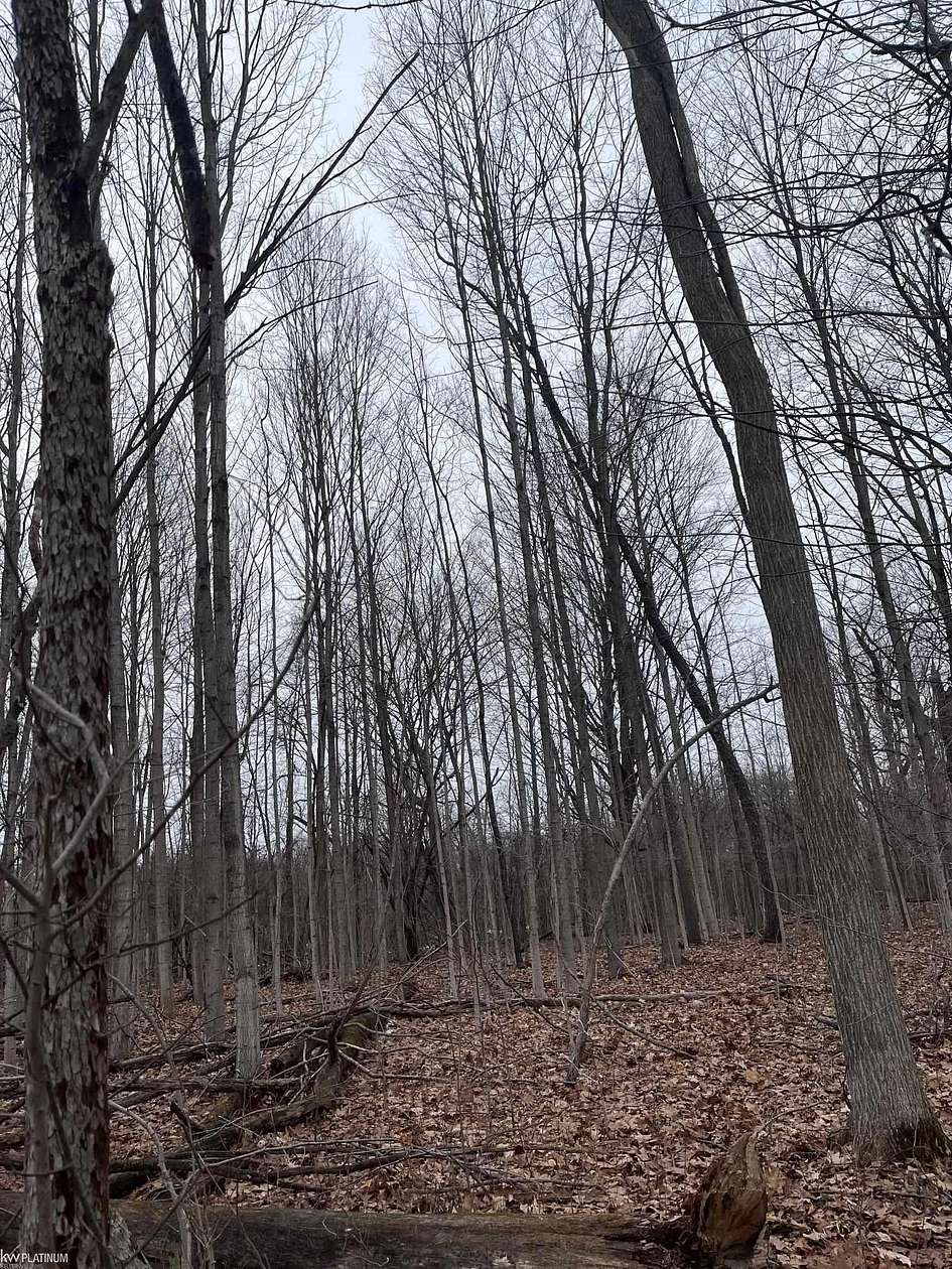 4 Acres of Residential Land for Sale in Allenton, Michigan