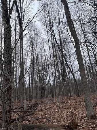 4 Acres of Residential Land for Sale in Allenton, Michigan