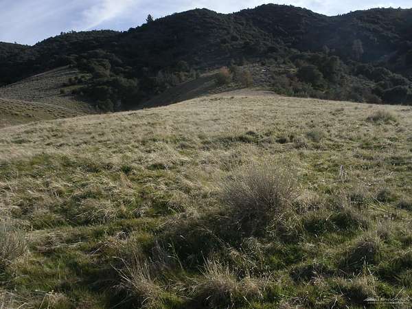 3 Acres of Land for Sale in Tehachapi, California