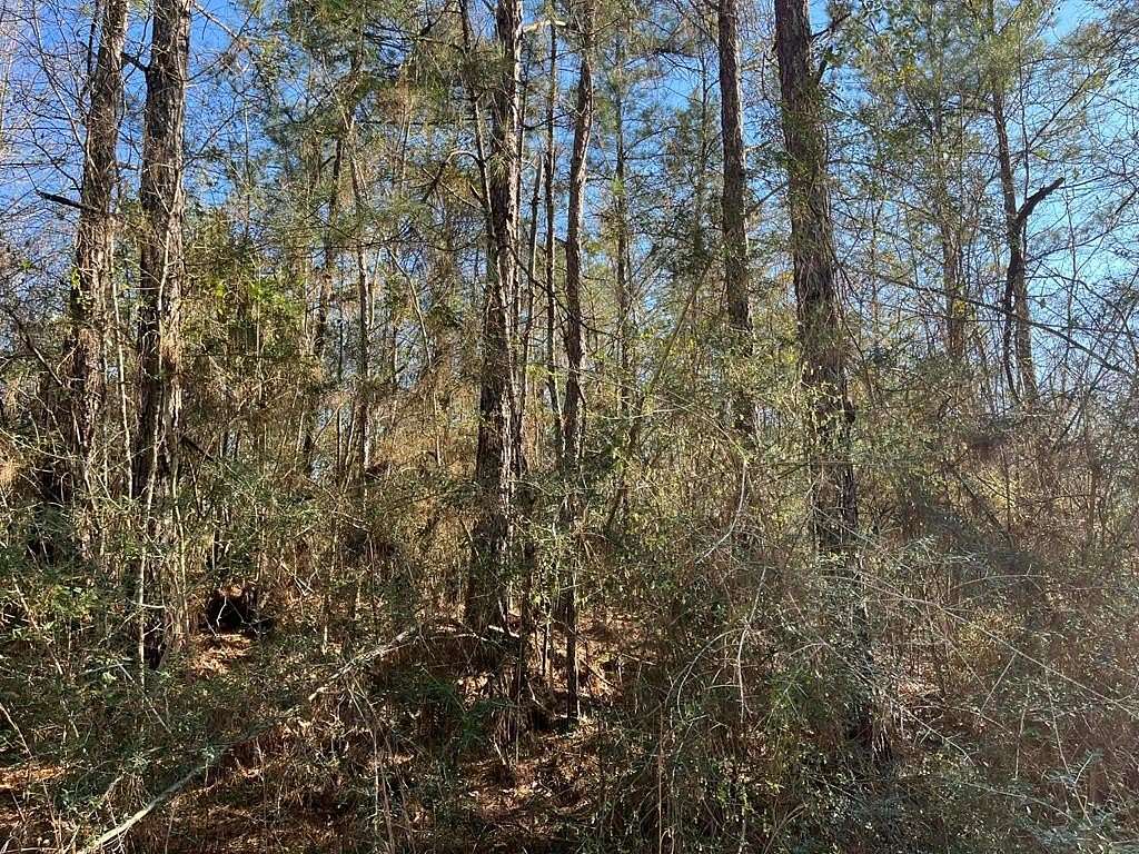 0.24 Acres of Residential Land for Sale in Lumberton, Mississippi