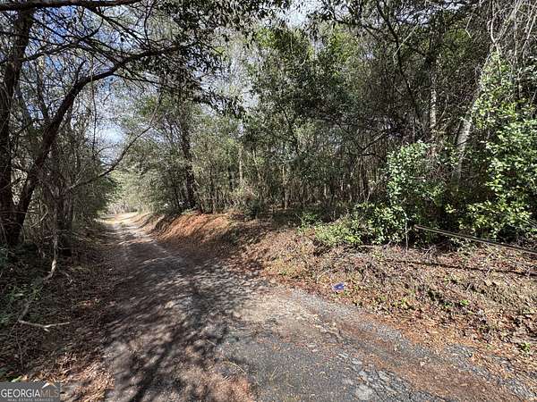 1.2 Acres of Residential Land for Sale in Bibb City, Georgia