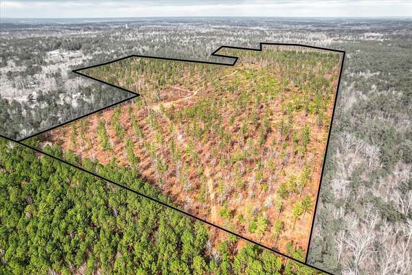174 Acres of Land for Sale in Harlem, Georgia