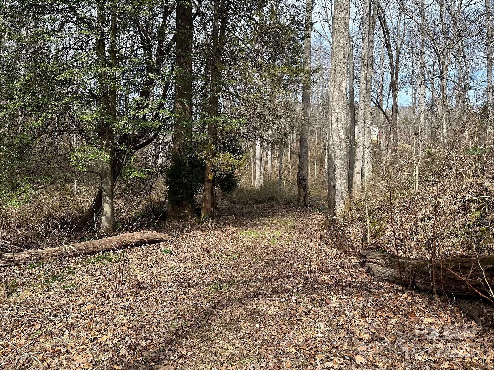 23.2 Acres of Recreational & Residential Land for Sale in Candler, North Carolina