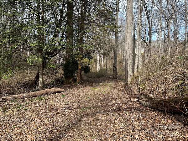 23.2 Acres of Recreational & Residential Land for Sale in Candler, North Carolina