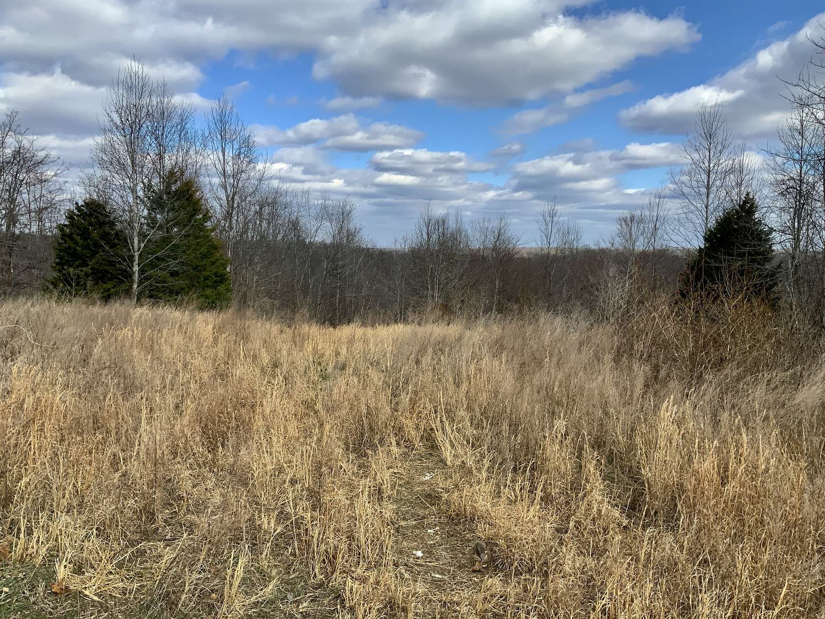 12.7 Acres of Recreational & Residential Land for Sale in Dover, Tennessee