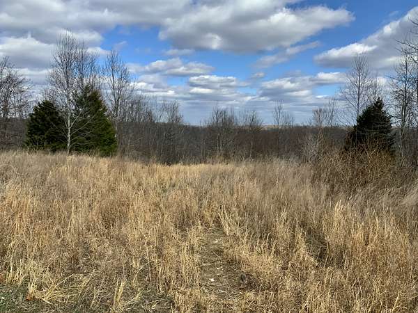 12.7 Acres of Recreational & Residential Land for Sale in Dover, Tennessee