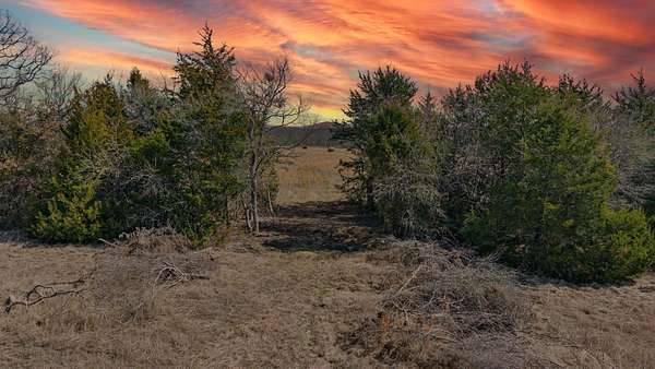 18.8 Acres of Commercial Land for Sale in Greenville, Texas