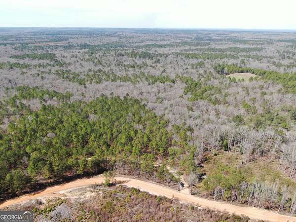 55 Acres of Recreational Land for Sale in Butler, Georgia