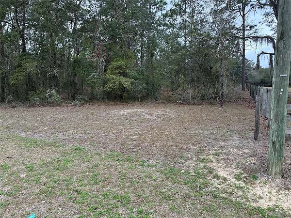 5 Acres of Land for Sale in Morriston, Florida
