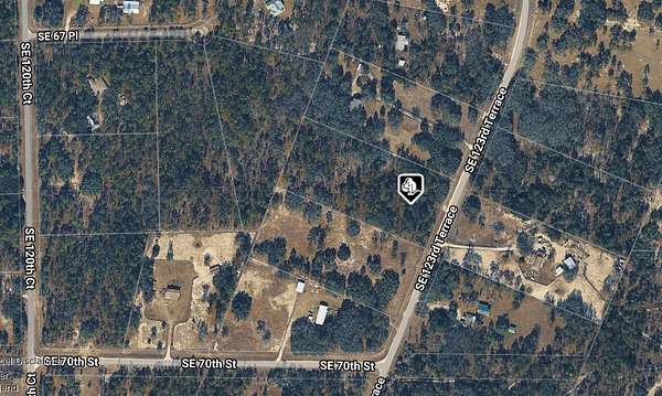 5 Acres of Land for Sale in Morriston, Florida