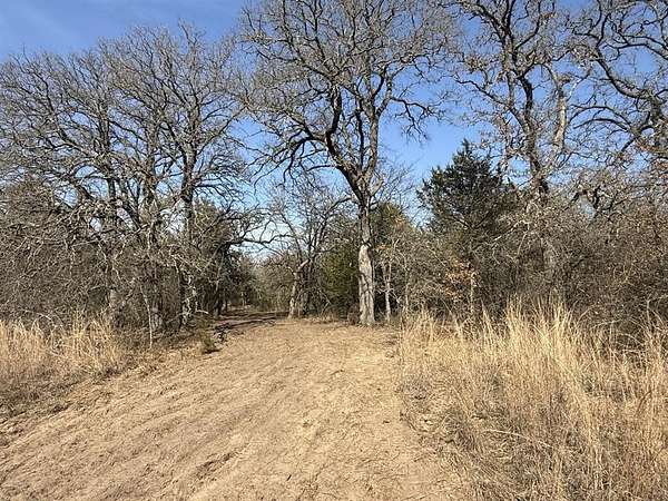 30 Acres of Agricultural Land for Sale in Sunset, Texas