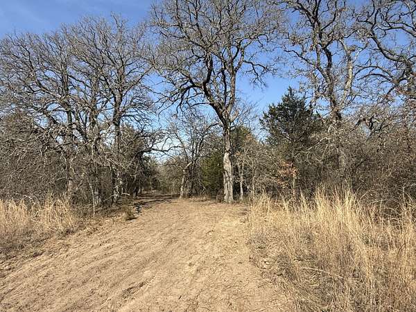 30 Acres of Recreational Land for Sale in Sunset, Texas