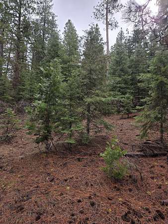 5 Acres of Residential Land for Sale in Bonanza, Oregon