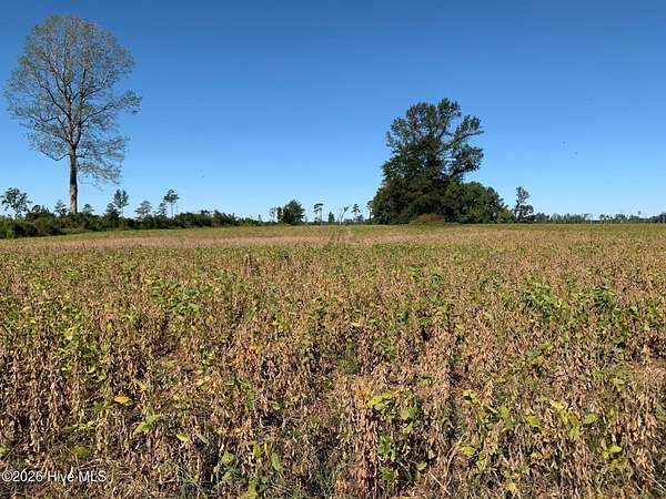 73.4 Acres of Agricultural & Residential Land for Sale in Windsor, North Carolina