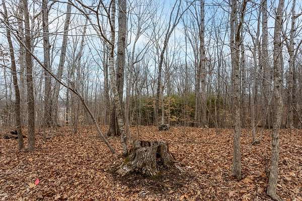 0.49 Acres of Residential Land for Sale in Buffalo Junction, Virginia