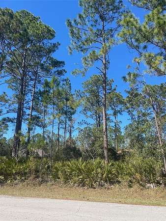 0.23 Acres of Residential Land for Sale in Palm Coast, Florida
