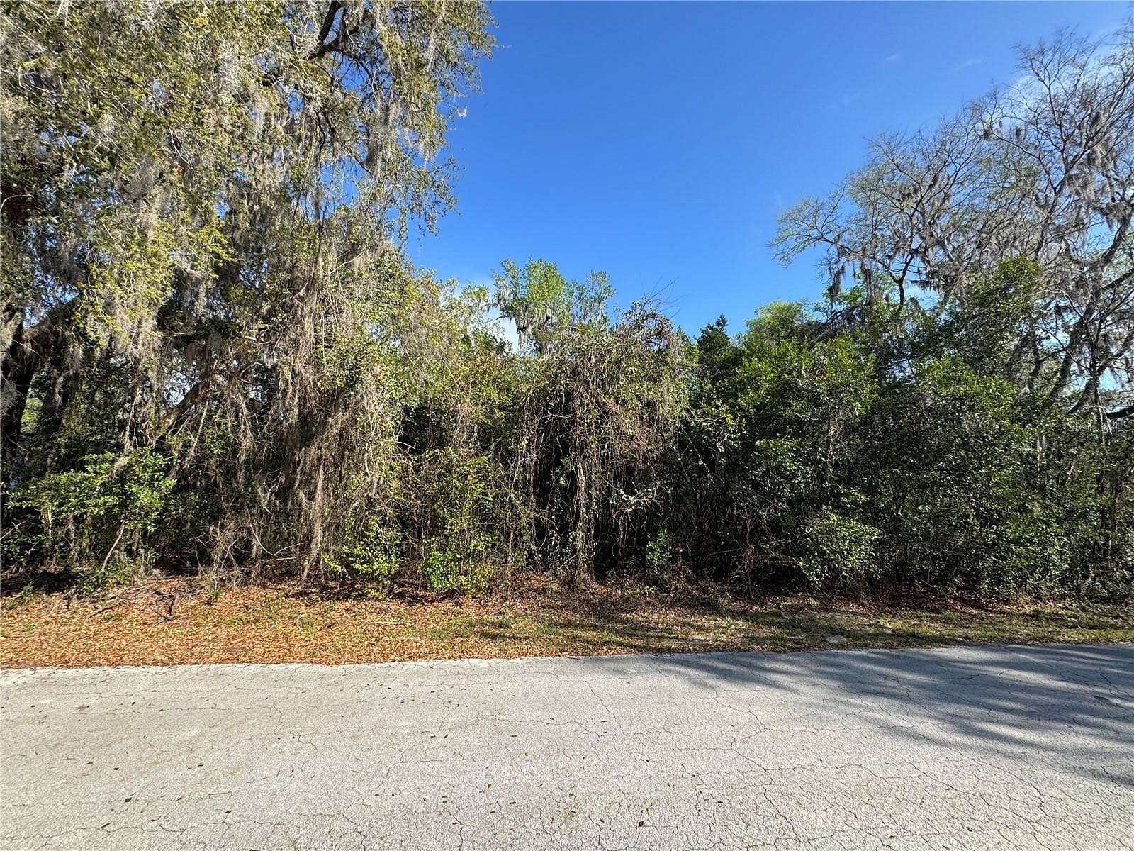 0.71 Acres of Residential Land for Sale in Lake Panasoffkee, Florida