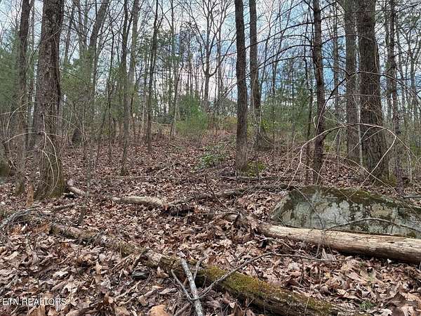 7 Acres of Residential Land for Sale in Reliance, Tennessee