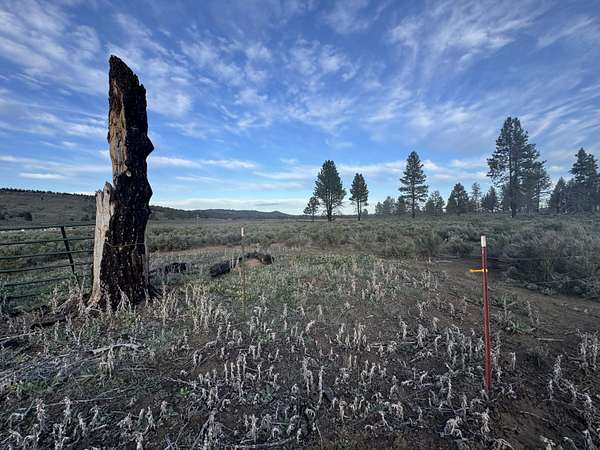 2.4 Acres of Residential Land for Sale in Sprague River, Oregon