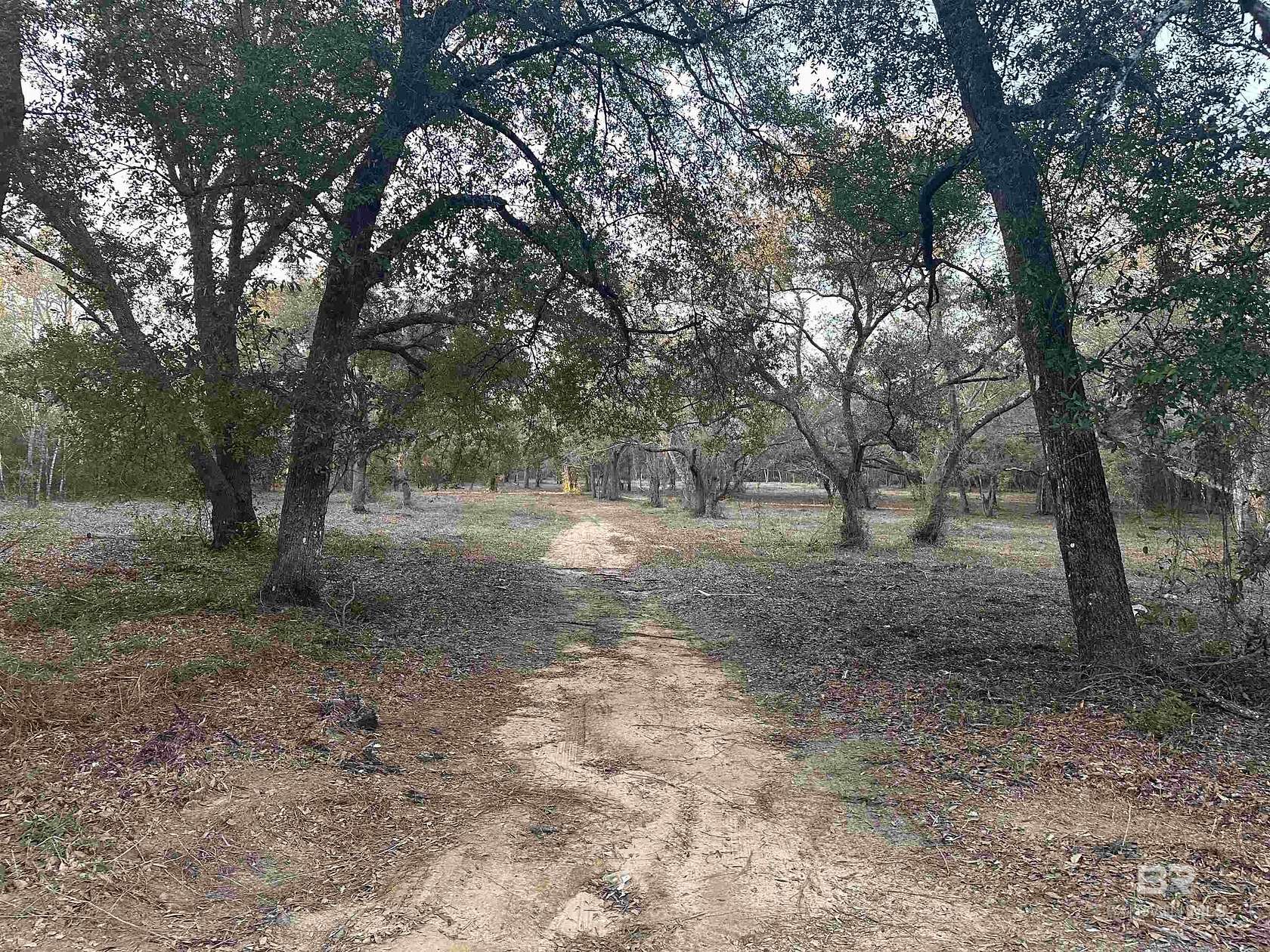 8.5 Acres of Residential Land for Sale in Lillian, Alabama