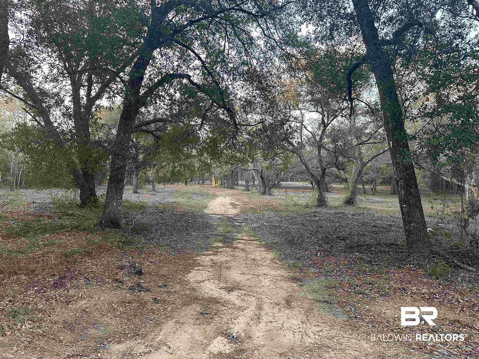 8.5 Acres of Residential Land for Sale in Lillian, Alabama