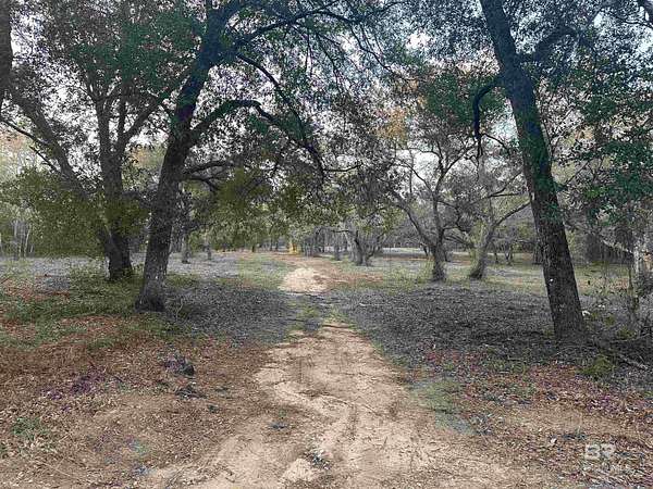 8.5 Acres of Residential Land for Sale in Lillian, Alabama