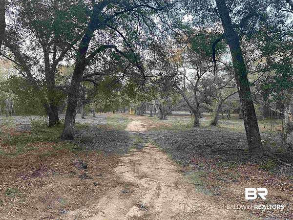 8.5 Acres of Residential Land for Sale in Lillian, Alabama