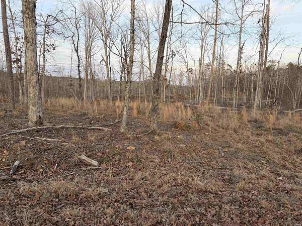 0.2 Acres of Residential Land for Sale in Hot Springs Village, Arkansas