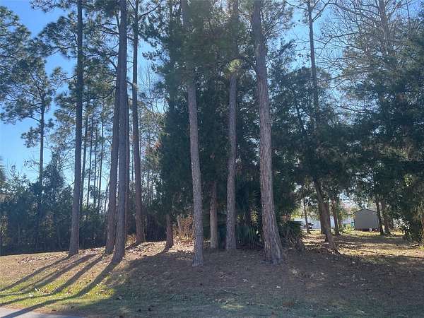 0.23 Acres of Residential Land for Sale in Palm Coast, Florida