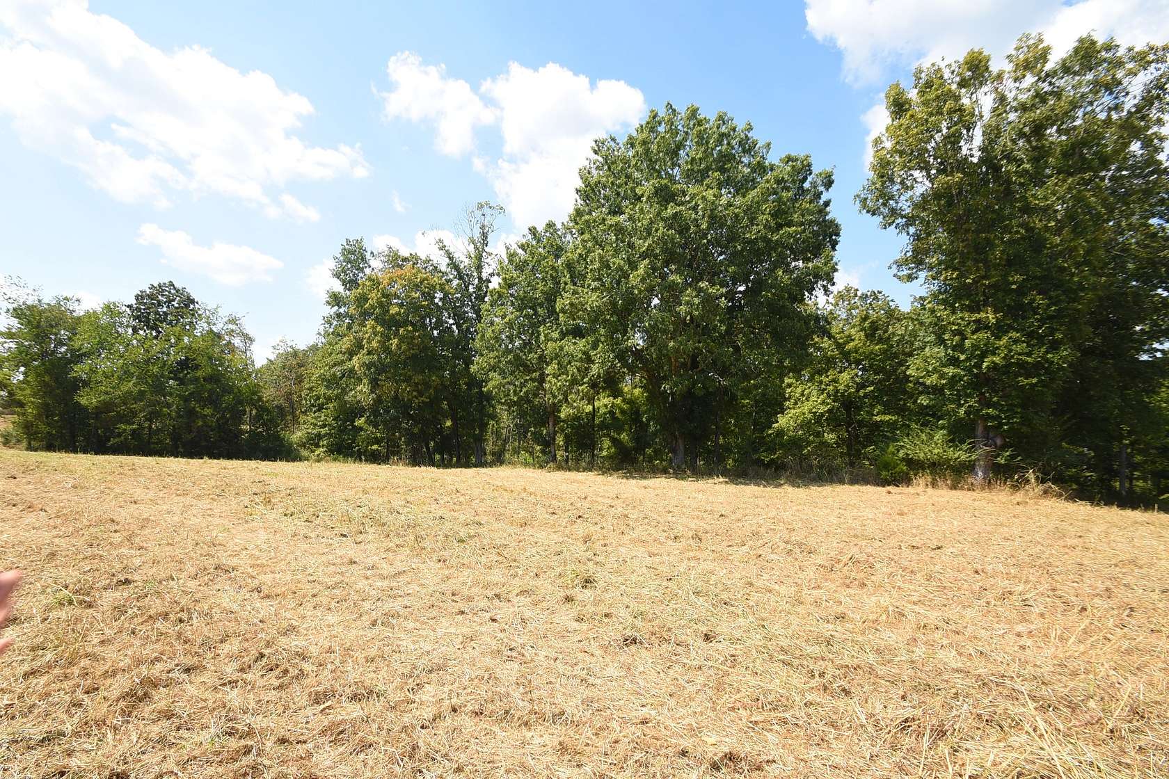 66.3 Acres of Recreational Land for Sale in Indian Mound, Tennessee