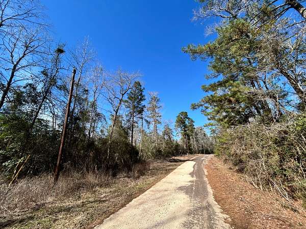 0.31 Acres of Residential Land for Sale in Woodville, Texas
