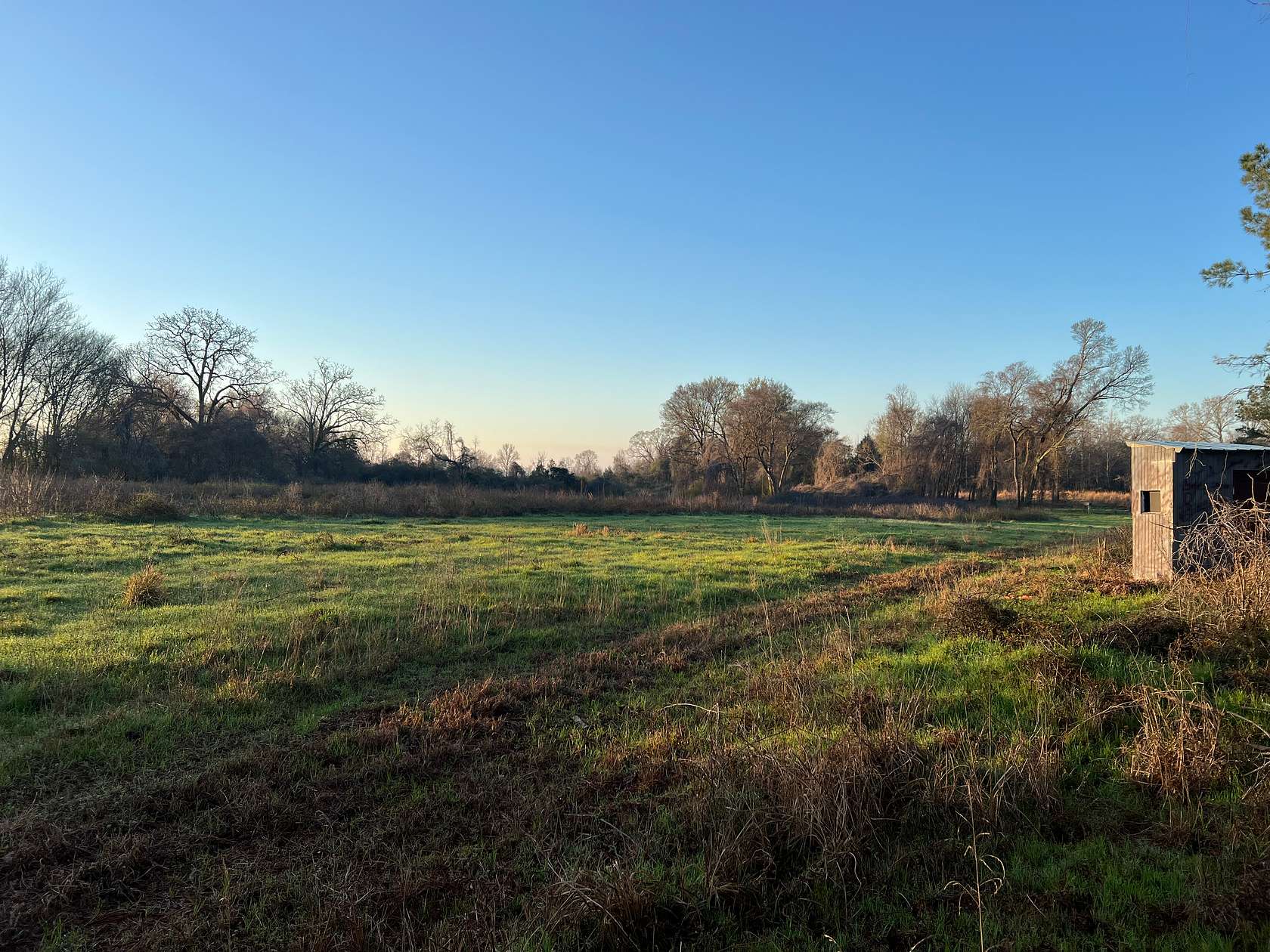 106 Acres of Land for Sale in Jones, Alabama