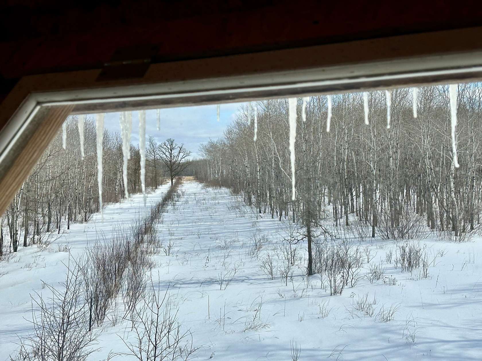 417 Acres of Land for Sale in Lancaster, Minnesota