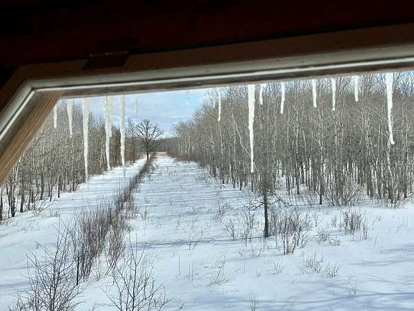 417 Acres of Land for Sale in Lancaster, Minnesota