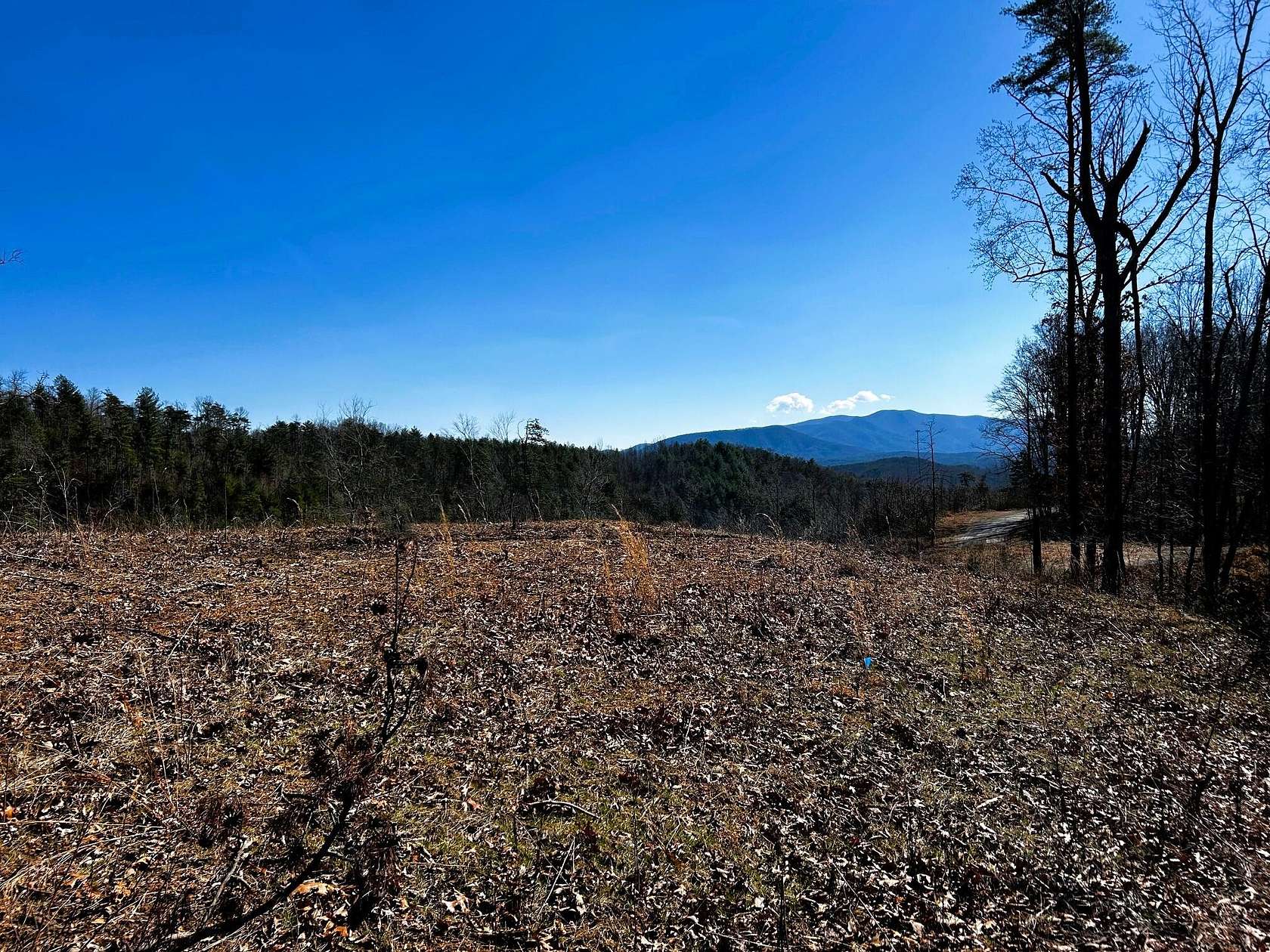 1.86 Acres of Residential Land for Sale in Reliance, Tennessee