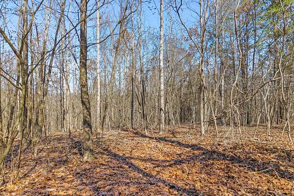5 Acres of Land for Sale in Spring City, Tennessee