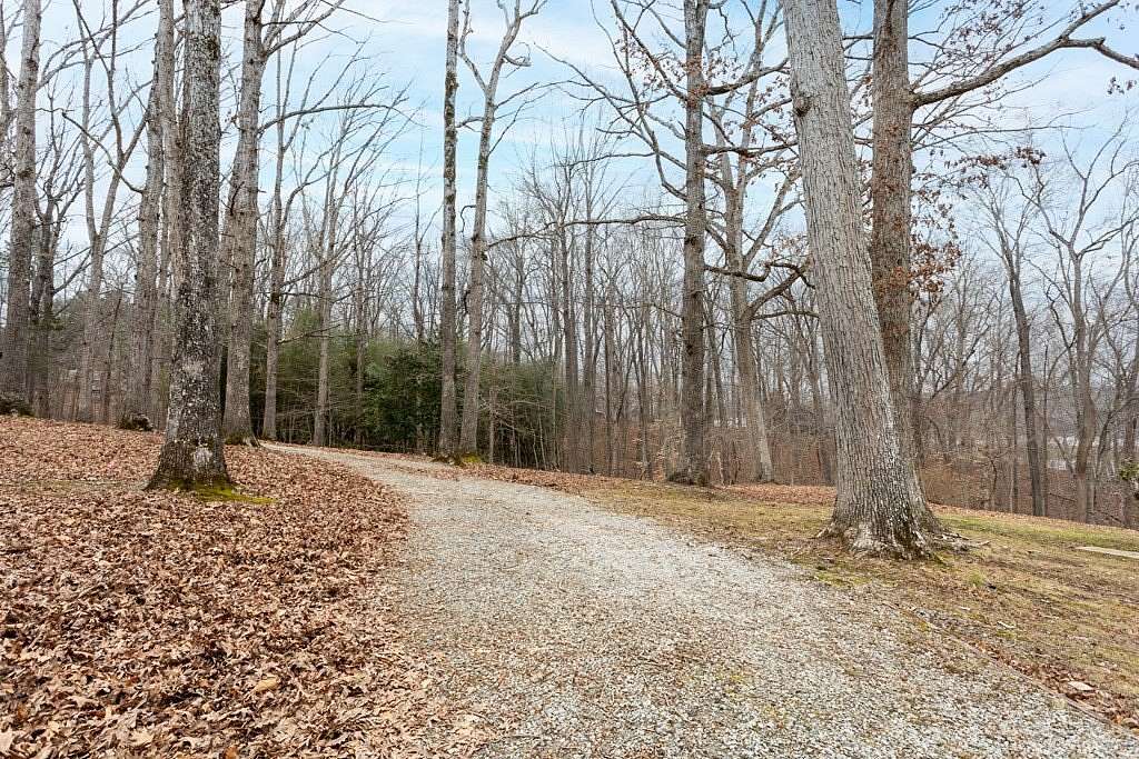 0.46 Acres of Residential Land for Sale in Buffalo Junction, Virginia